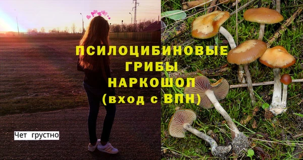 mdma Киреевск