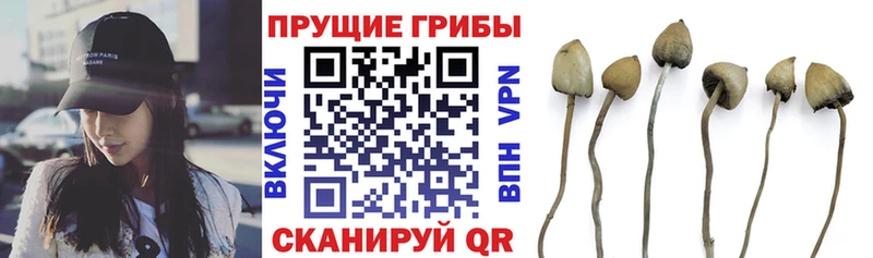 Галлюциногенные грибы прущие грибы  Купить  Туймазы 
